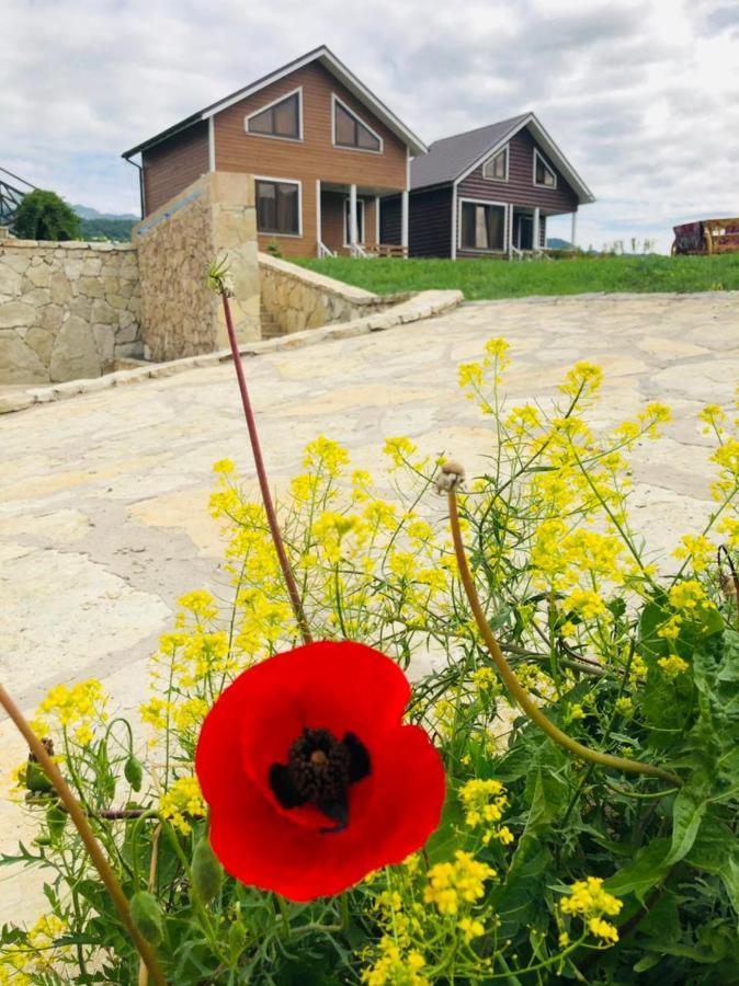 Cottage Chalet And Tours Dilijan Exterior foto